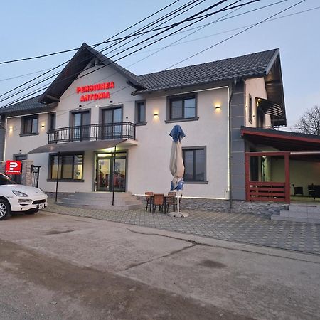 Pensiunea Antonia Sighetu Marmatiei Ngoại thất bức ảnh