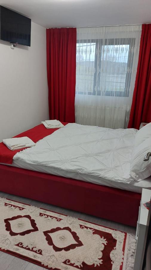Pensiunea Antonia Sighetu Marmatiei Ngoại thất bức ảnh