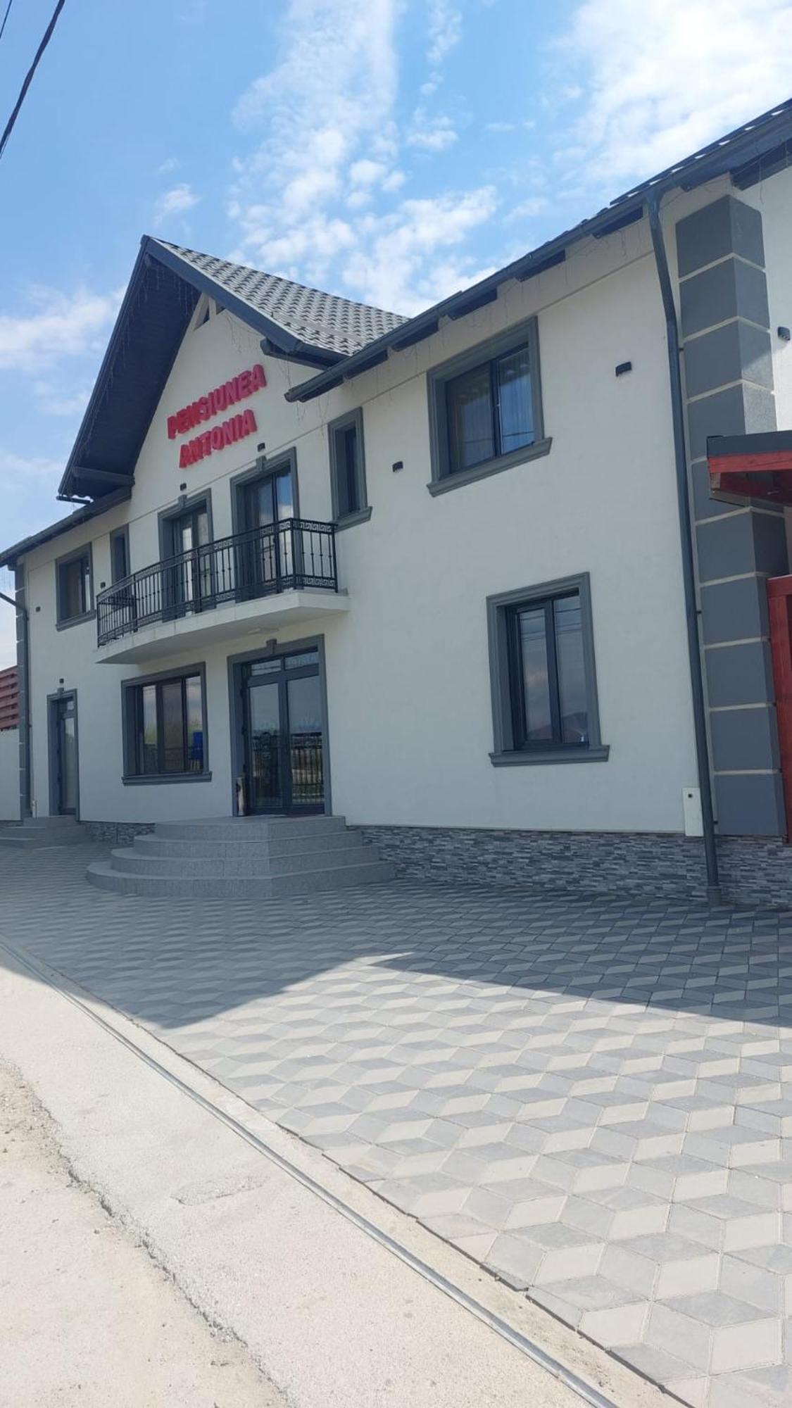 Pensiunea Antonia Sighetu Marmatiei Ngoại thất bức ảnh