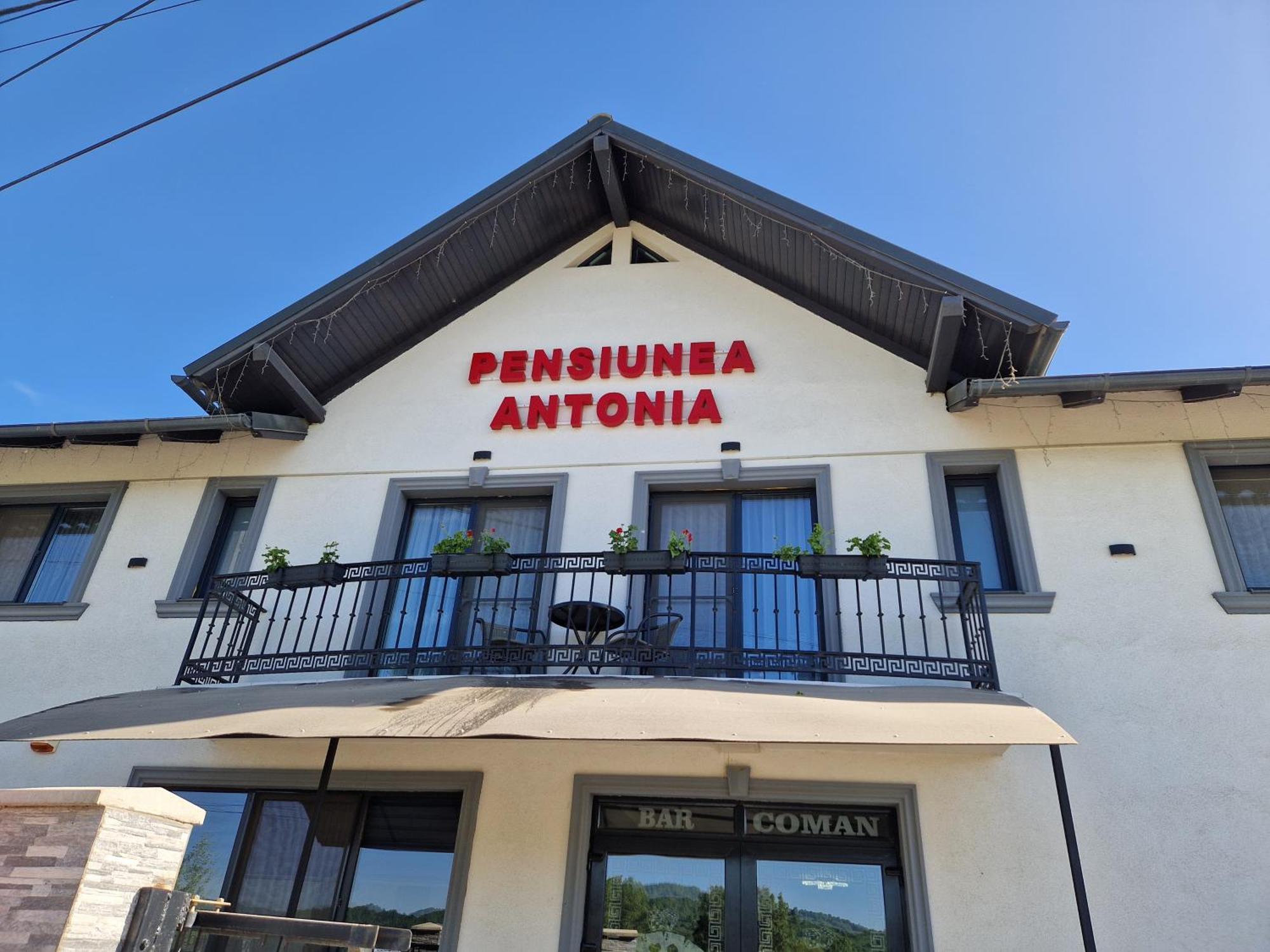 Pensiunea Antonia Sighetu Marmatiei Phòng bức ảnh